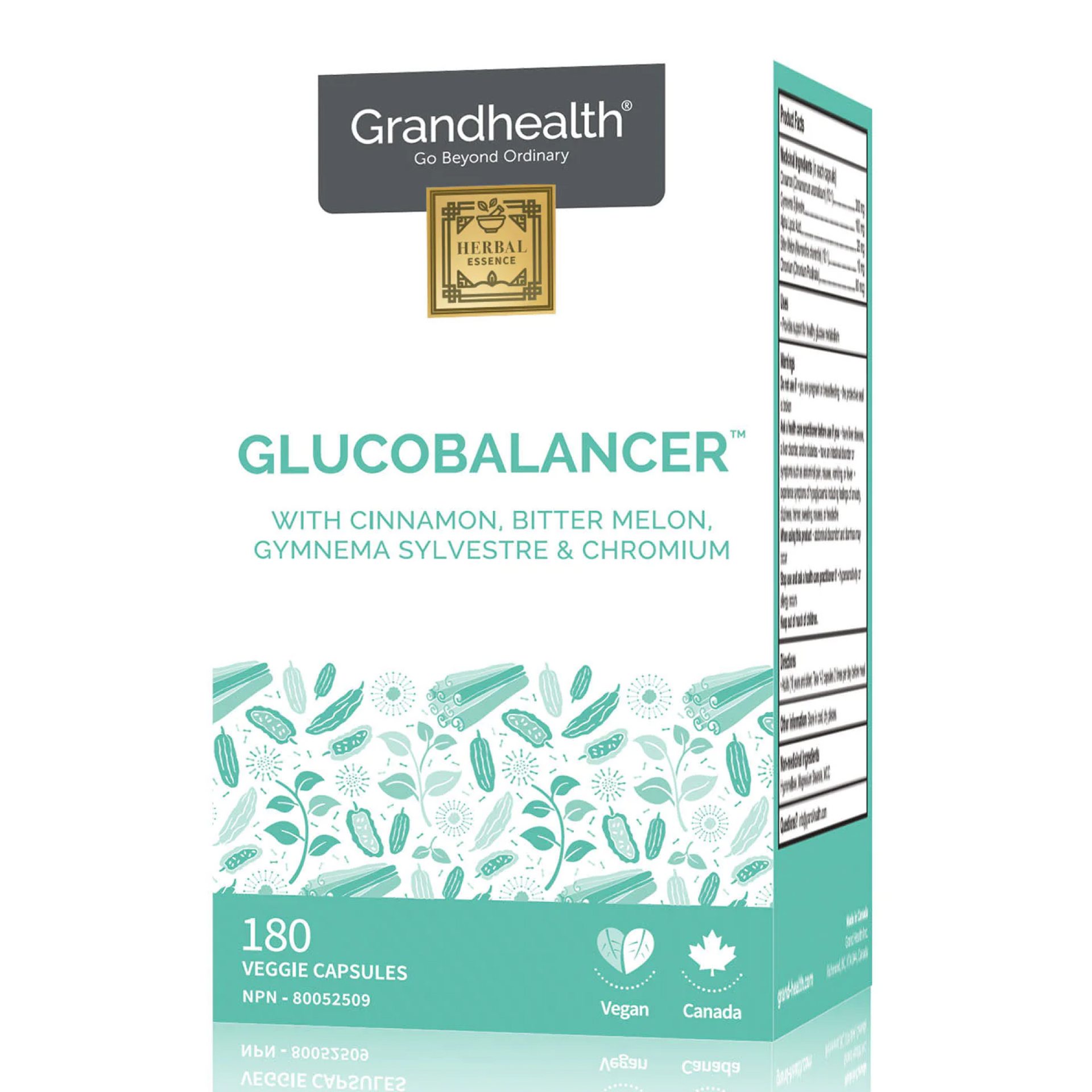 GlucoBalancer