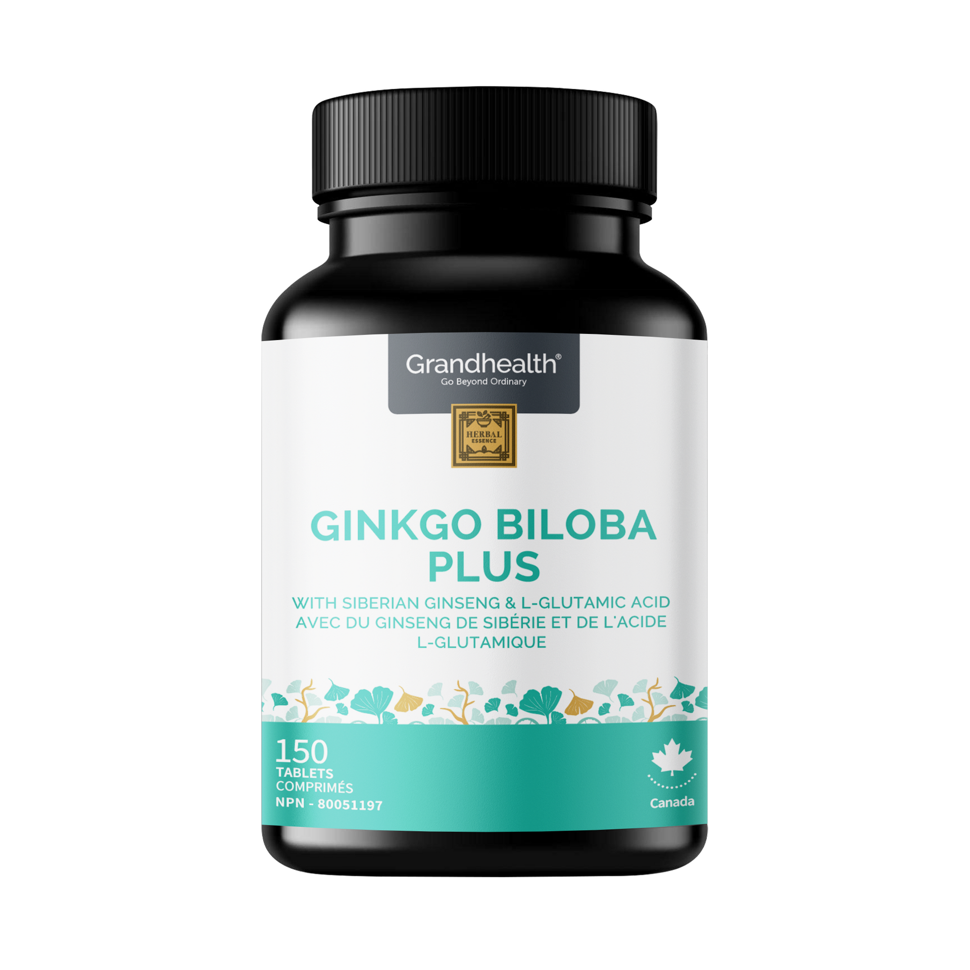 Ginkgo Biloba Plus