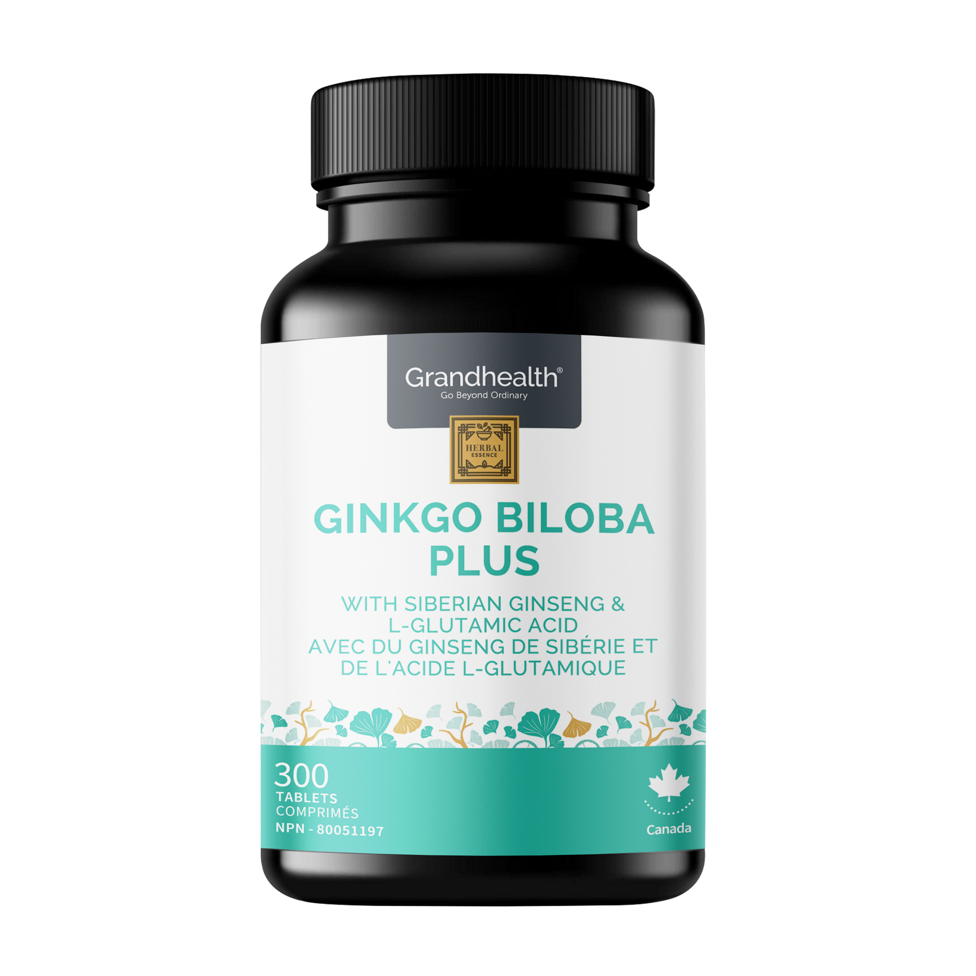 Ginkgo Biloba Plus