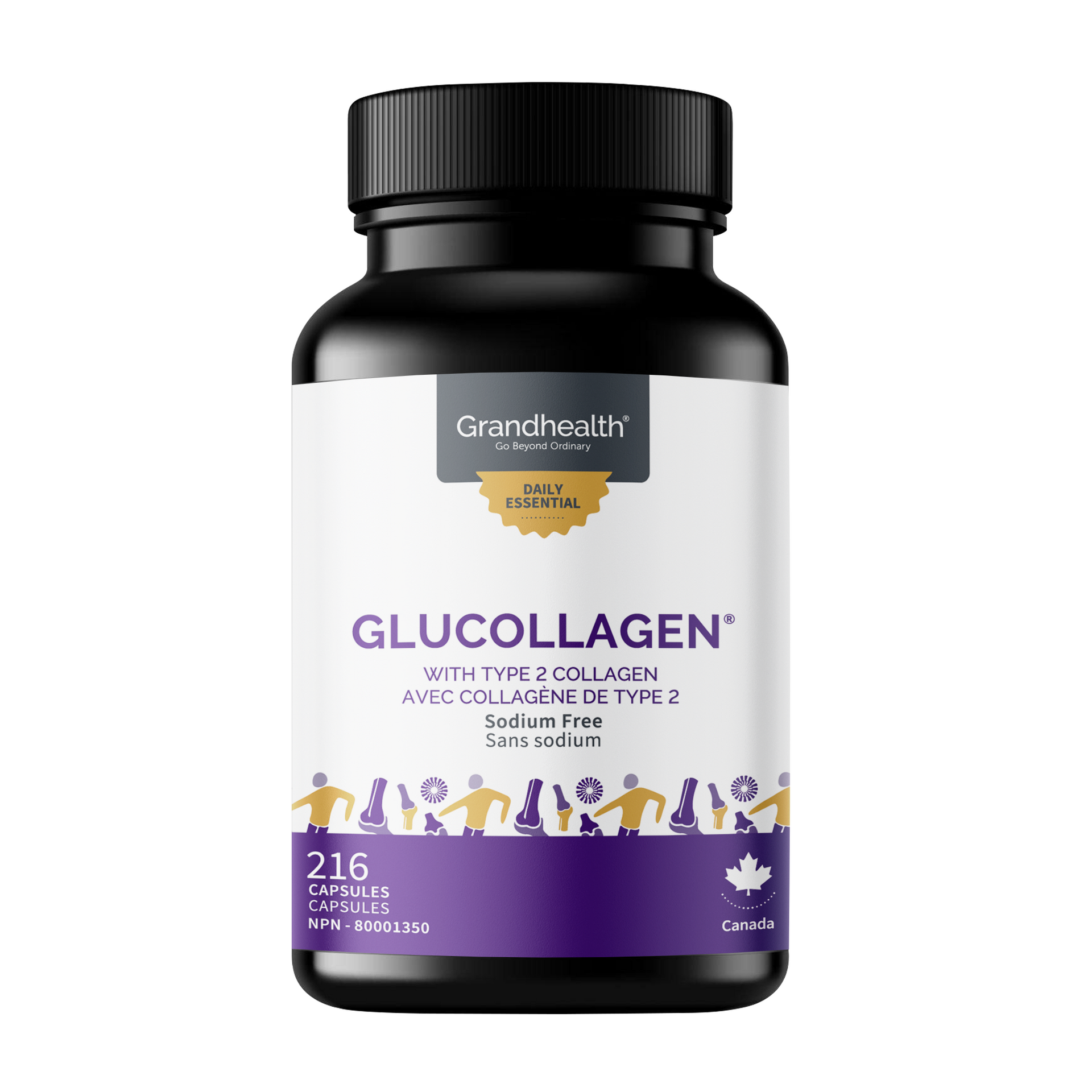 GluCollagen